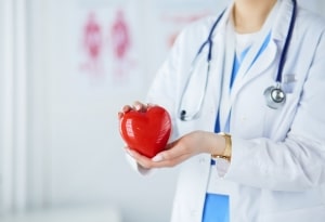 Healthcare professional holding a model heart